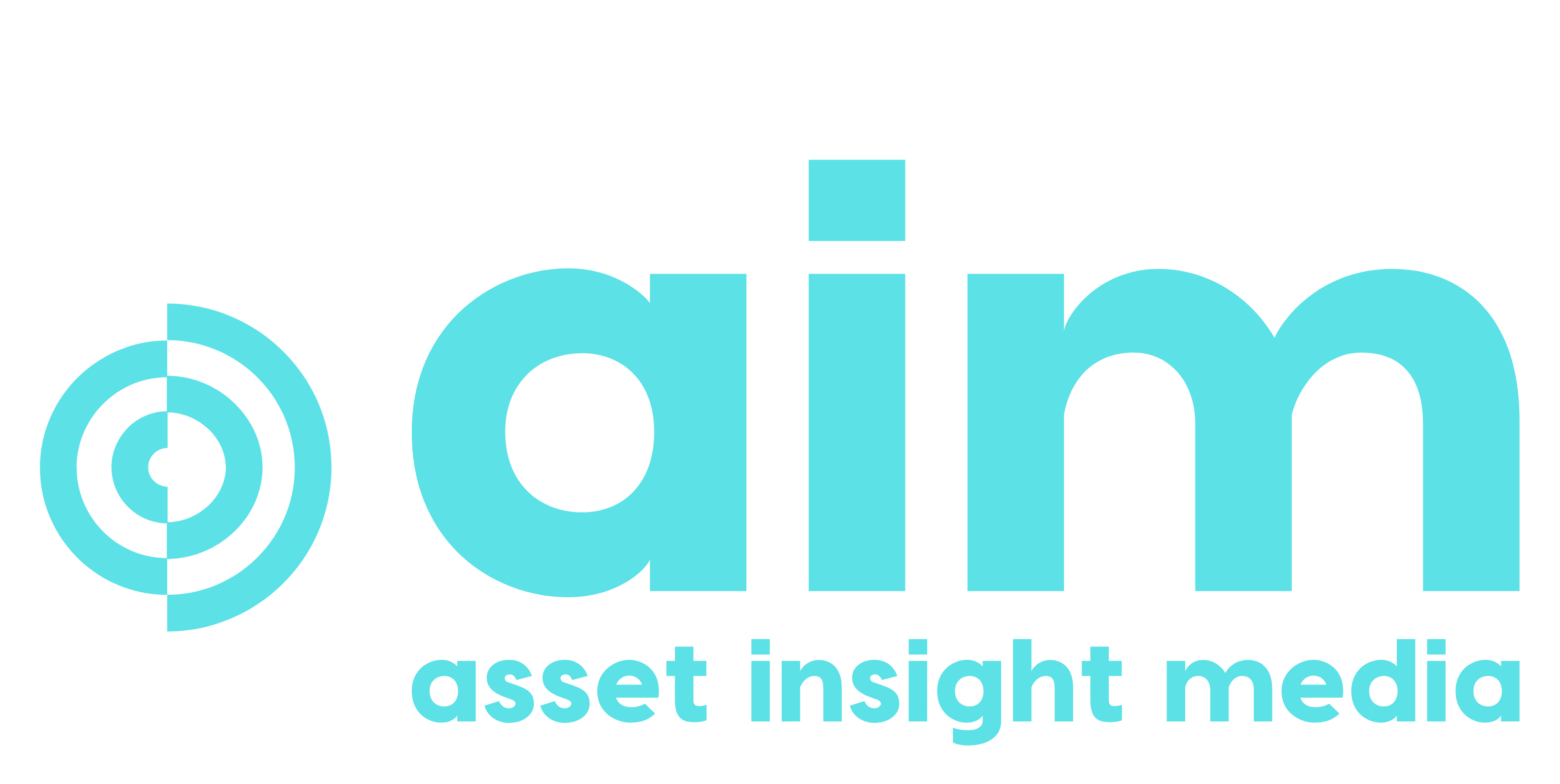 Asset Insight Media